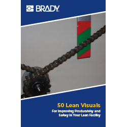 Brady50LeanVisualsCover